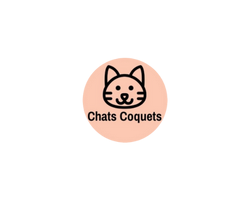 Chats Coquets