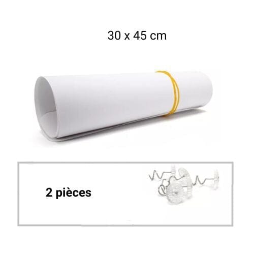 Chats Coquets - Bandes adhésives Anti - Grattage Transparentes pour Meubles - Chats Coquets