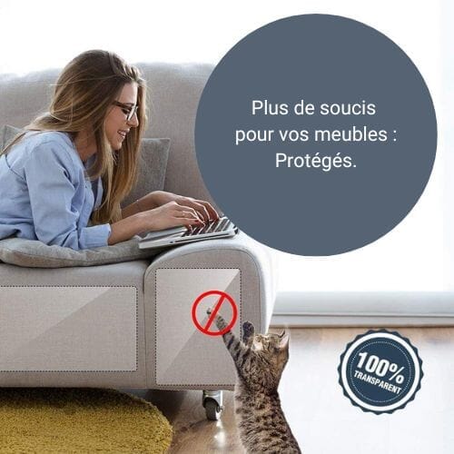 Chats Coquets - Bandes adhésives Anti - Grattage Transparentes pour Meubles - Chats Coquets