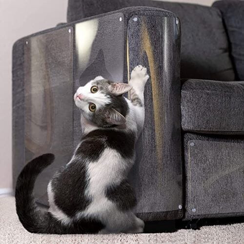 Chats Coquets - Bandes adhésives Anti - Grattage Transparentes pour Meubles - Chats Coquets
