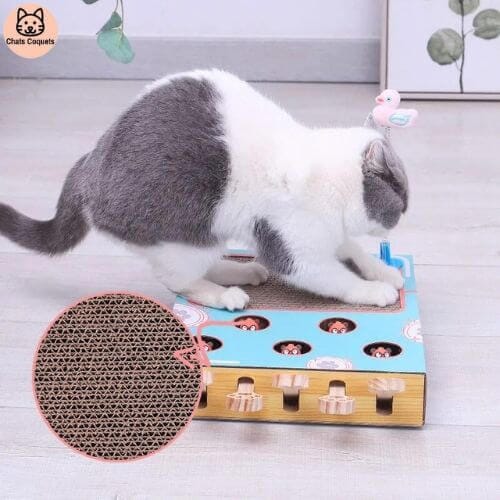 Chats Coquets - FunnyBox Planche à Gratter - Jouet Interactif pour Chat - Chats Coquets