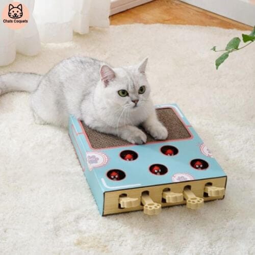 Chats Coquets - FunnyBox Planche à Gratter - Jouet Interactif pour Chat - Chats Coquets