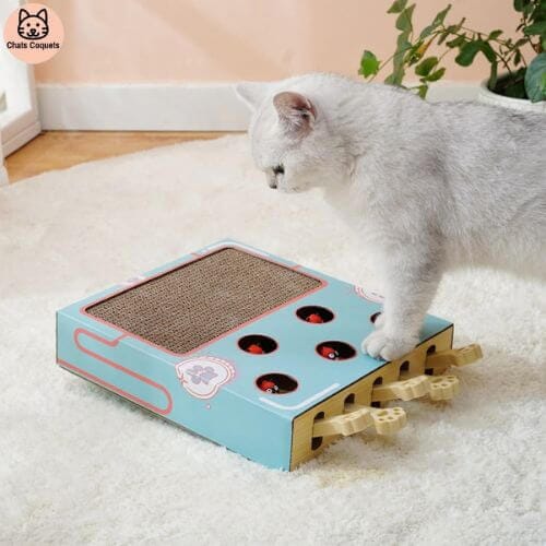 Chats Coquets - FunnyBox Planche à Gratter - Jouet Interactif pour Chat - Chats Coquets