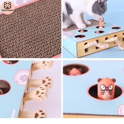 Chats Coquets - FunnyBox Planche à Gratter - Jouet Interactif pour Chat - Chats Coquets