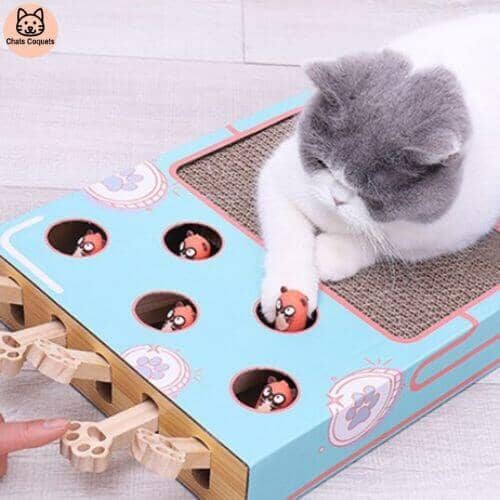 Chats Coquets - FunnyBox Planche à Gratter - Jouet Interactif pour Chat - Chats Coquets