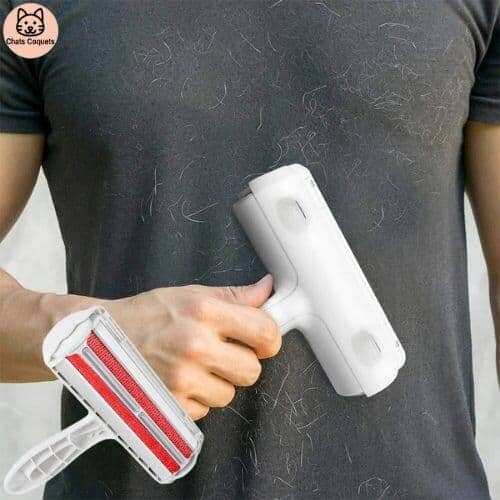 Chats Coquets - FurFree Brosse Enlève - Poils de Chat - Chats Coquets