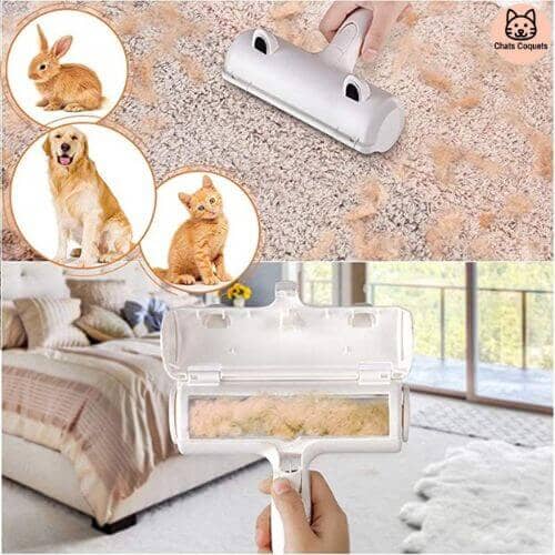 Chats Coquets - FurFree Brosse Enlève - Poils de Chat - Chats Coquets