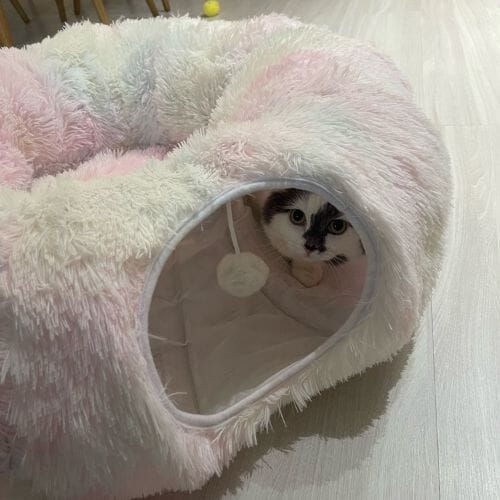 Chats Coquets - Lit Cocoon 2 en 1 pour Chats - Tunnel et Panier - Chats Coquets