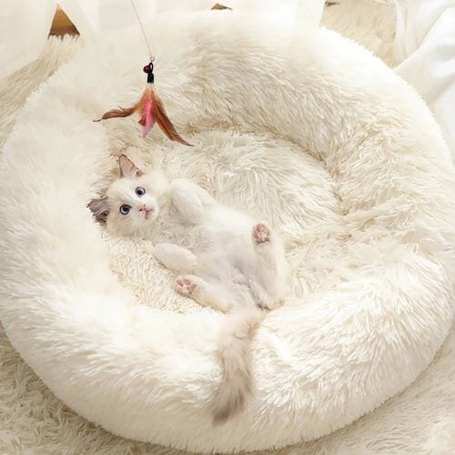 Chats Coquets - Lit Confort Cocoon pour Chats - Chats Coquets