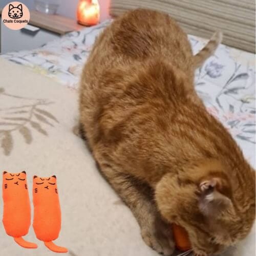 Chats Coquets - Lot NiamNiam Jouets Anti - stress pour Chats - Chats Coquets