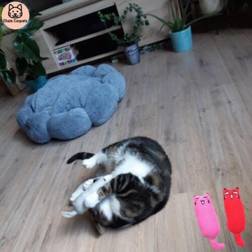 Chats Coquets - Lot NiamNiam Jouets Anti - stress pour Chats - Chats Coquets
