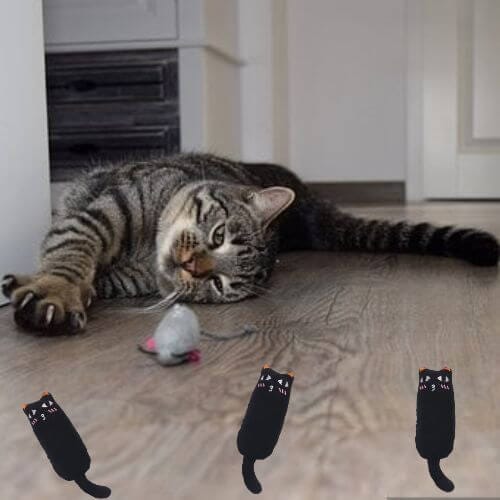 Chats Coquets - Lot NiamNiam Jouets Anti - stress pour Chats - Chats Coquets