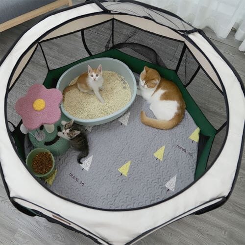 Chats Coquets - Parc pour chats pliable - Chats Coquets