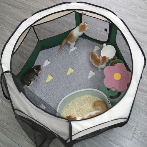 Chats Coquets - Parc pour chats pliable - Chats Coquets