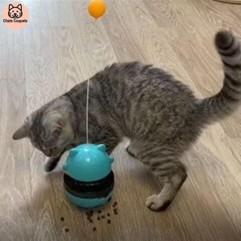 Chats Coquets - SportyJouet Jouet pour Chat Interactif - Chats Coquets