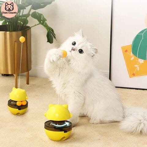 Chats Coquets - SportyJouet Jouet pour Chat Interactif - Chats Coquets