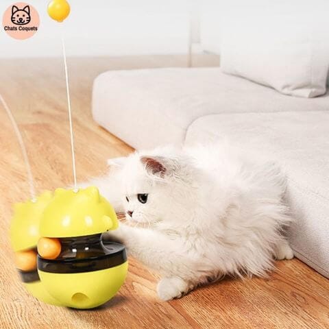 Chats Coquets - SportyJouet Jouet pour Chat Interactif - Chats Coquets