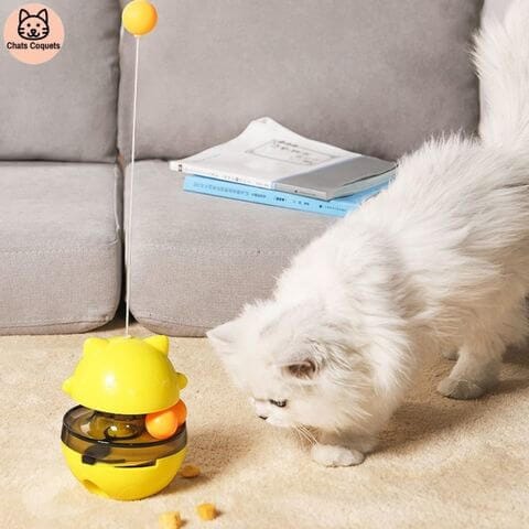 Chats Coquets - SportyJouet Jouet pour Chat Interactif - Chats Coquets