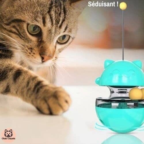 Chats Coquets - SportyJouet Jouet pour Chat Interactif - Chats Coquets