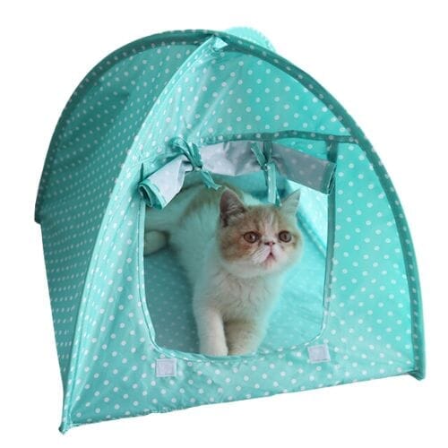 Chats Coquets – Tente Igloo pour Chats - Chats Coquets