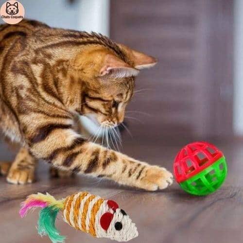 Chats Coquets - WittyKit Jouets pour Chat avec Tunnel - 21 pièces - Chats Coquets