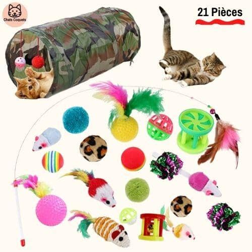Chats Coquets - WittyKit Jouets pour Chat avec Tunnel - 21 pièces - Chats Coquets