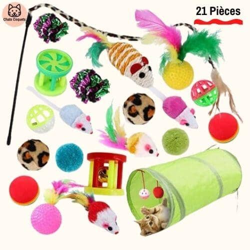 Chats Coquets - WittyKit Jouets pour Chat avec Tunnel - 21 pièces - Chats Coquets