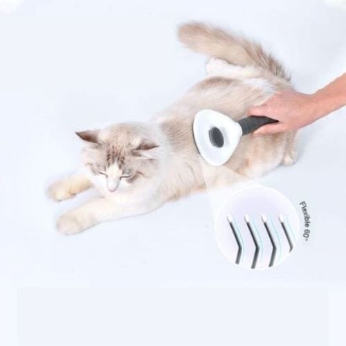 Chats Coquets - Brosse Autonettoyante CoolComb - Meilleur accessoire de toilettage des Chats - Chats Coquets