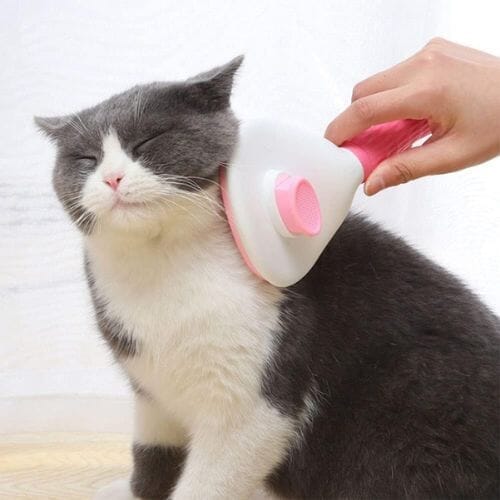 Chats Coquets - Brosse autonettoyante Oreilles de chat - Accessoire de toilettage pour chats - Chats Coquets
