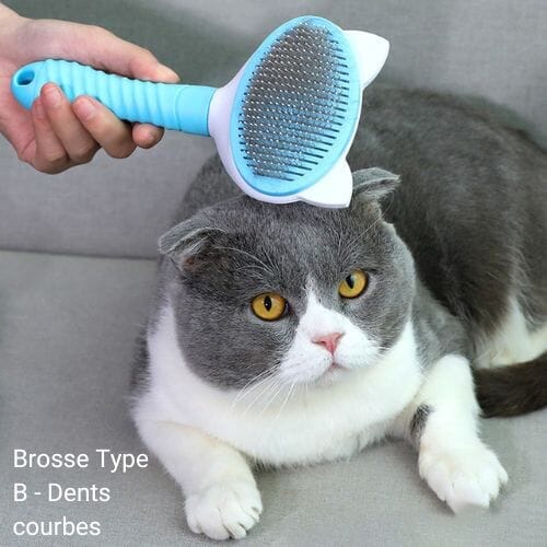Chats Coquets - Brosse autonettoyante Oreilles de chat - Accessoire de toilettage pour chats - Chats Coquets