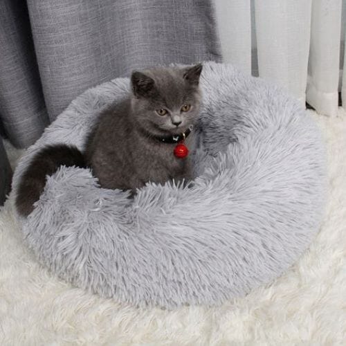 Chats Coquets - Lit Confort Cocoon pour Chats - Chats Coquets