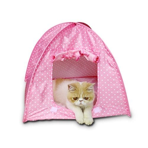 Chats Coquets – Tente Igloo pour Chats - Chats Coquets