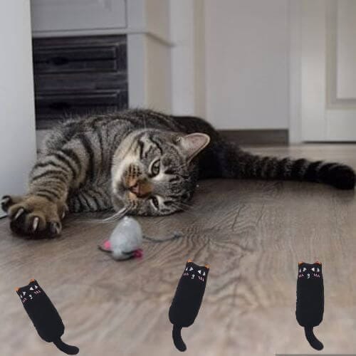 Lot NiamNiam™| Jouets Anti-stress pour Chat - Chats Coquets