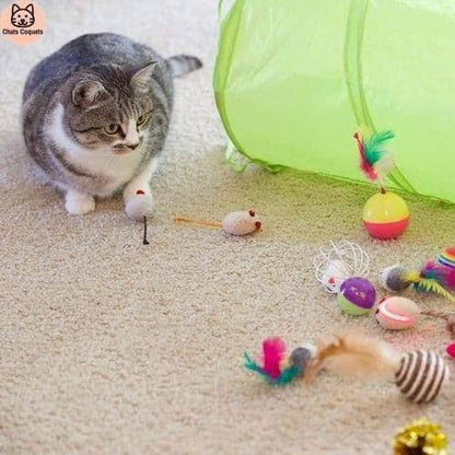 WittyKit™| Jouets pour Chat avec Tunnel - 21 pièces - Chats Coquets